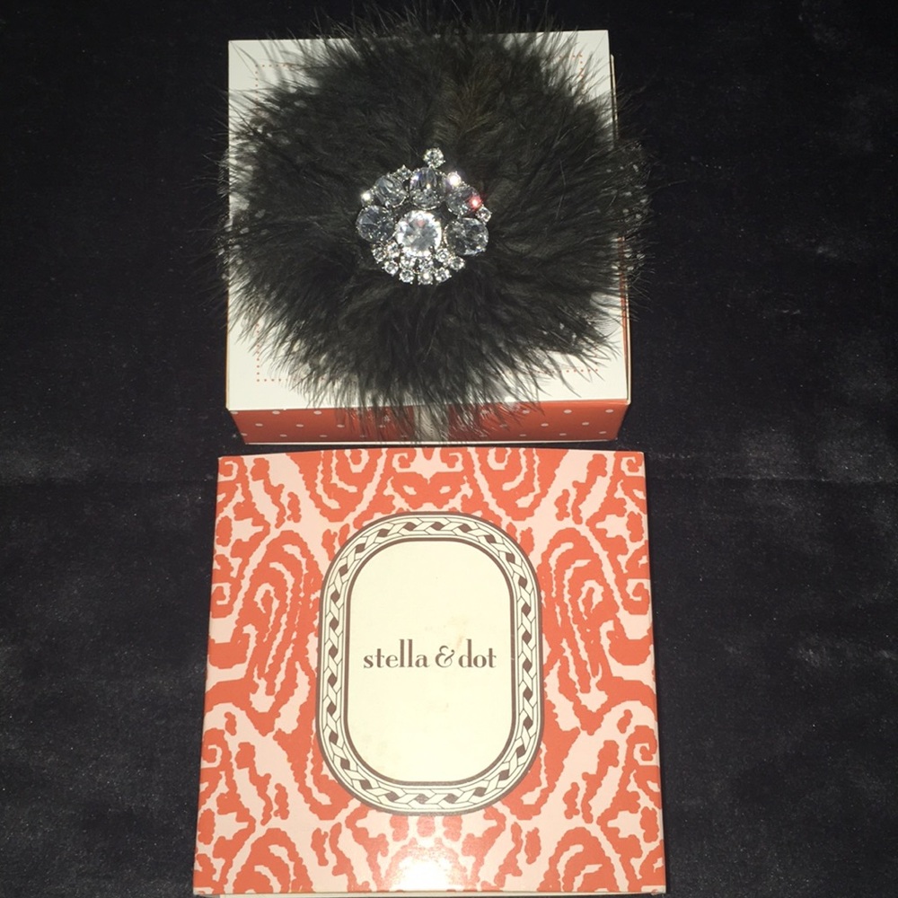Stella & Dot plume broach